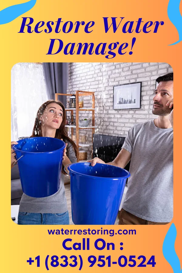 water restoration Trusted Water Repair Crew Lucan