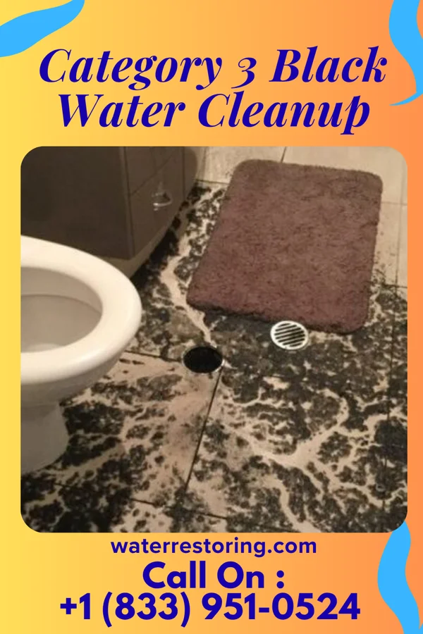 Category 3 Black Water Cleanup in Lucan, MN