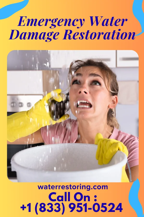 Emergency Water Damage Restoration in Lucan, MN